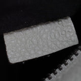 Celine Mini Luggage Tote