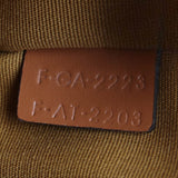 Celine Ava Triomphe Hobo