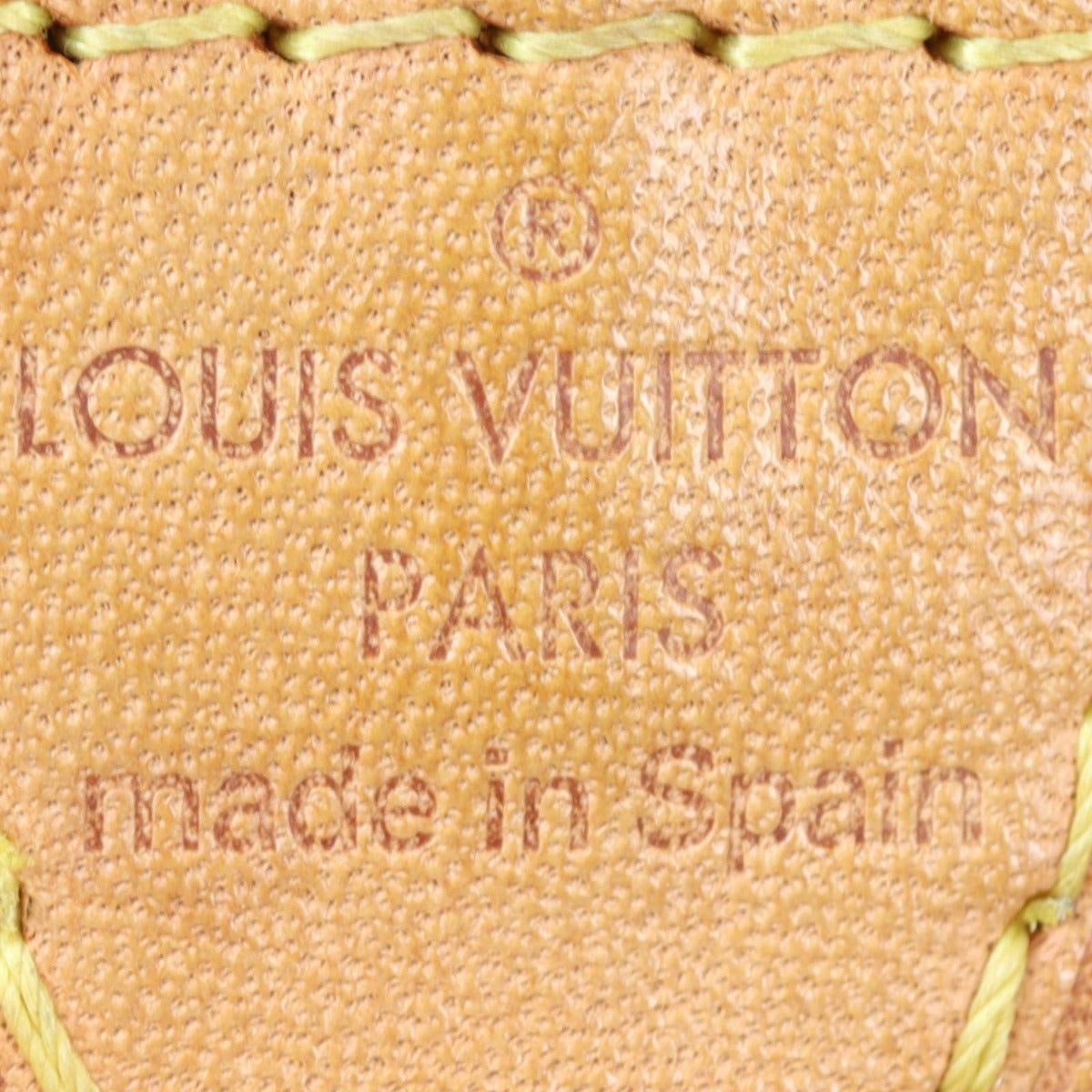 Louis Vuitton Pochette Accessoires Monogram