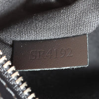 Louis Vuitton Brea MM Epi