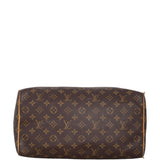 Louis Vuitton Speedy 30 Monogram