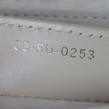 Dior CD Signature Flap Bag