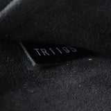 Louis Vuitton Louise PM Epi Electric