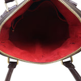 Louis Vuitton Trevi PM Damier Ebene