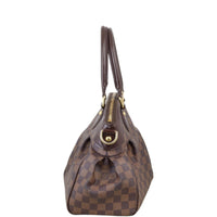 Louis Vuitton Trevi PM Damier Ebene