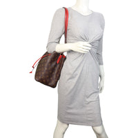 Louis Vuitton NeoNoe Monogram