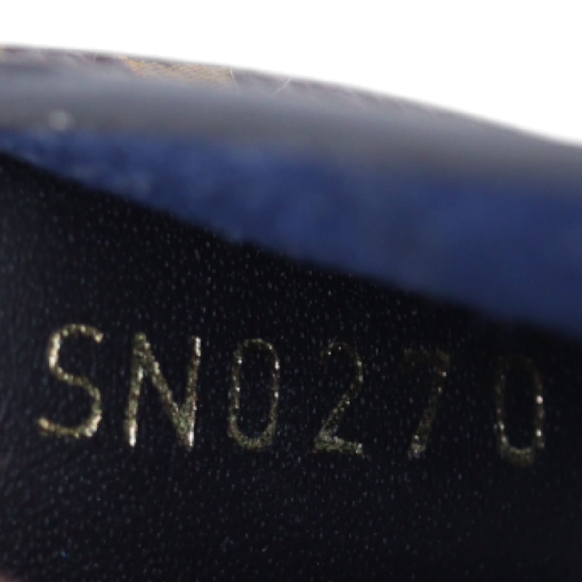 Louis Vuitton Cat Earpods Case Monogram