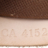 Louis Vuitton Pochette Accessoires Monogram