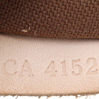 Louis Vuitton Pochette Accessoires Monogram