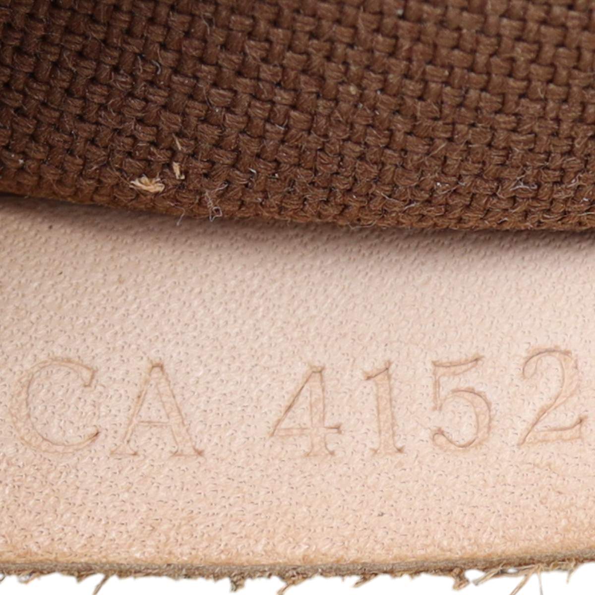 Louis Vuitton Pochette Accessoires Monogram