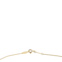 Tiffany & Co Elsa Peretti Color by the Yard Ruby 18k Yellow Gold Necklace