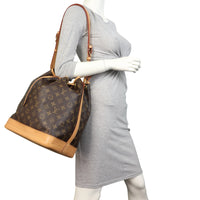 Louis Vuitton Noe Monogram