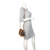 Louis Vuitton Alma BB Monogram