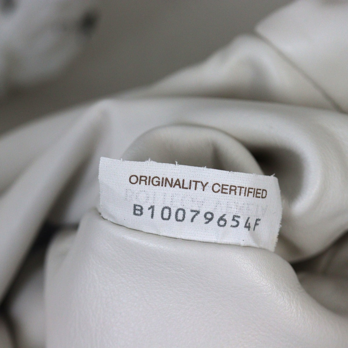 Bottega Veneta The Pouch