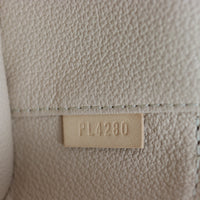 Louis Vuitton Nice Nano Toiletry Pouch Monogram