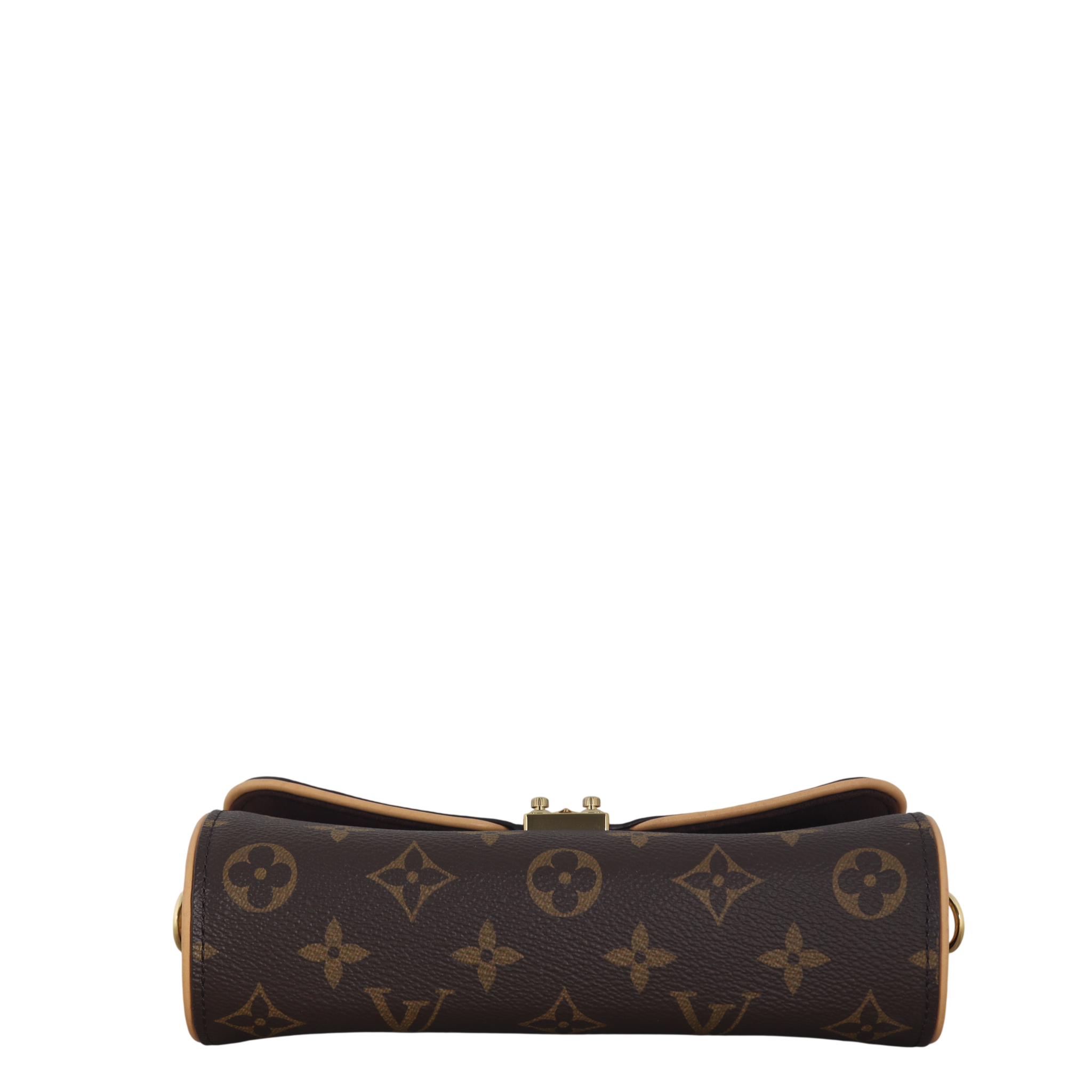 Louis Vuitton Camille Pochette Monogram