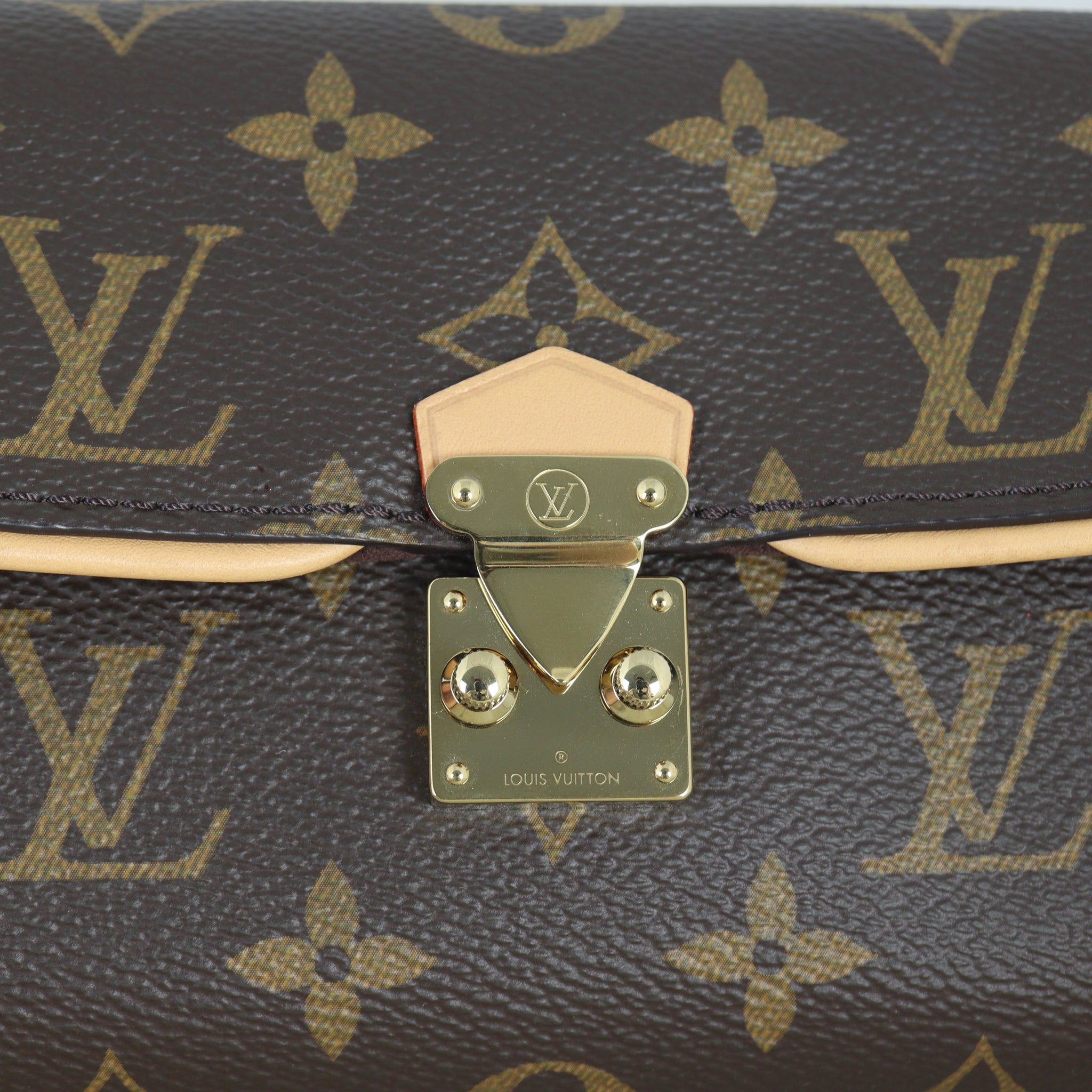 Louis Vuitton Camille Pochette Monogram