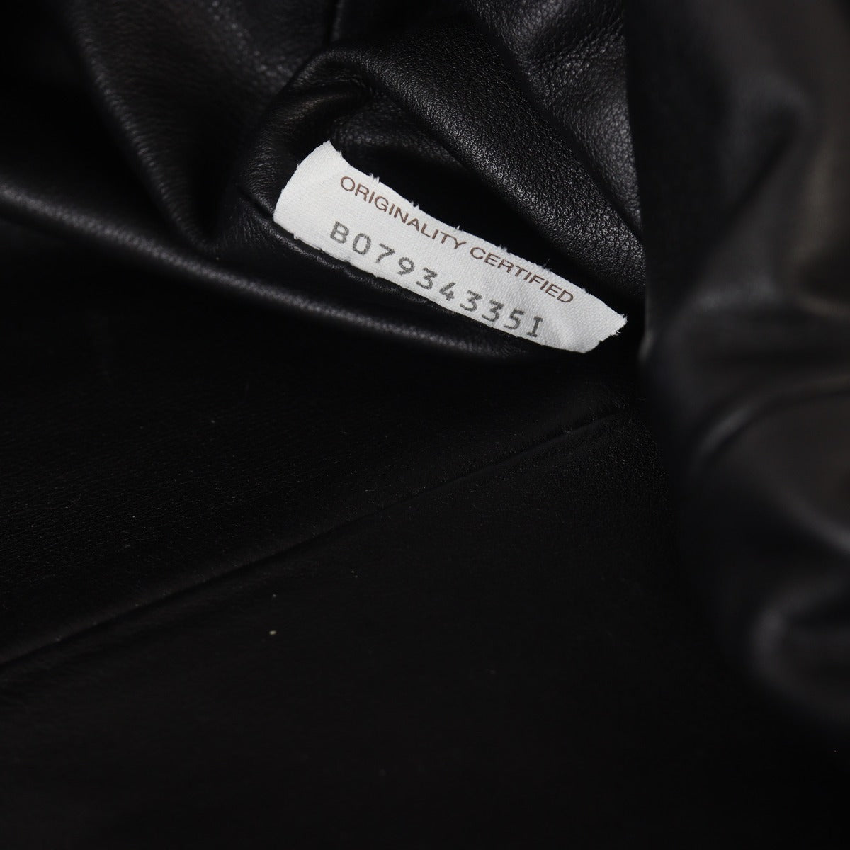 Bottega Veneta The Pouch