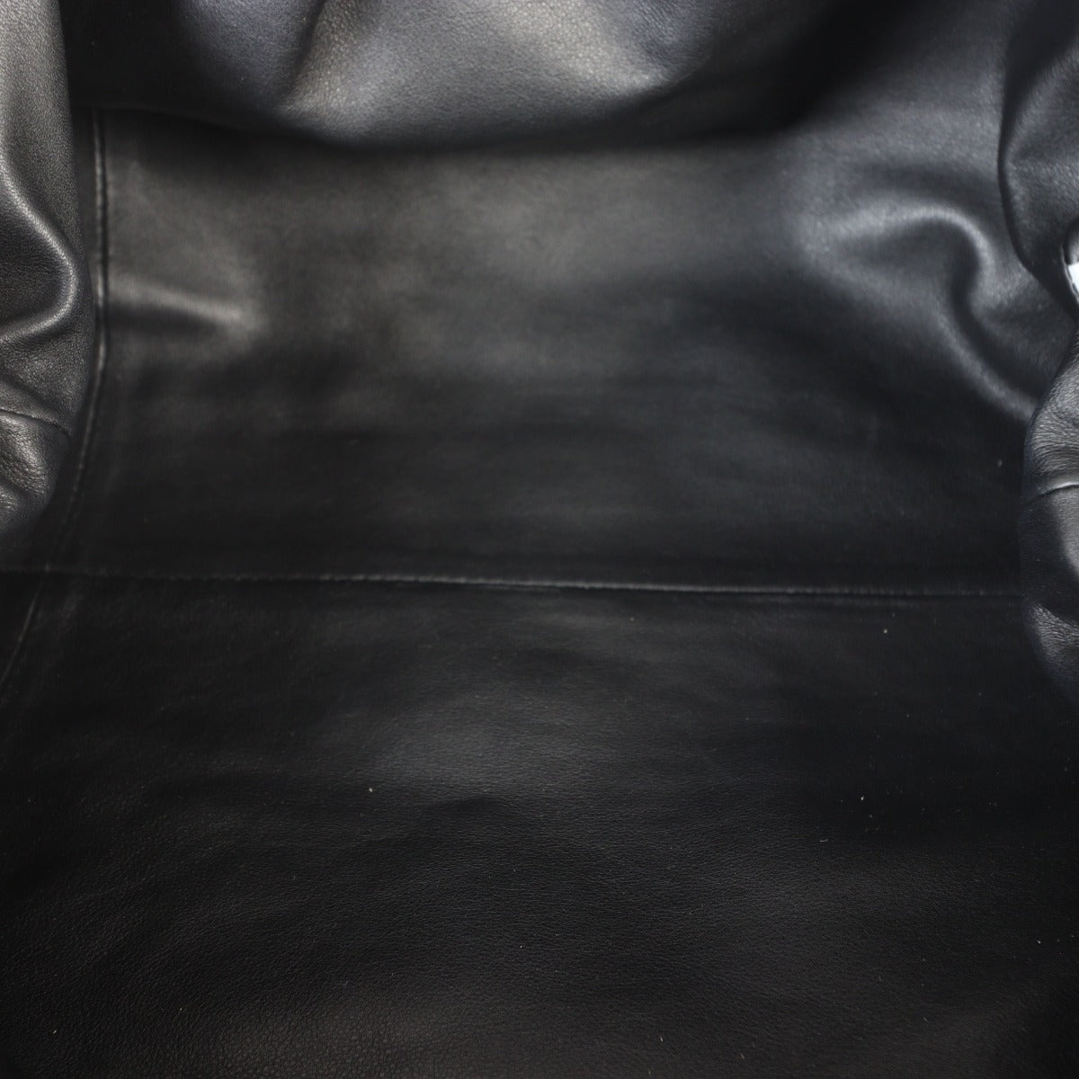 Bottega Veneta The Pouch