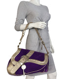 Dior Gaucho Suede Bag