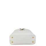 Louis Vuitton Capucines Mini Snake