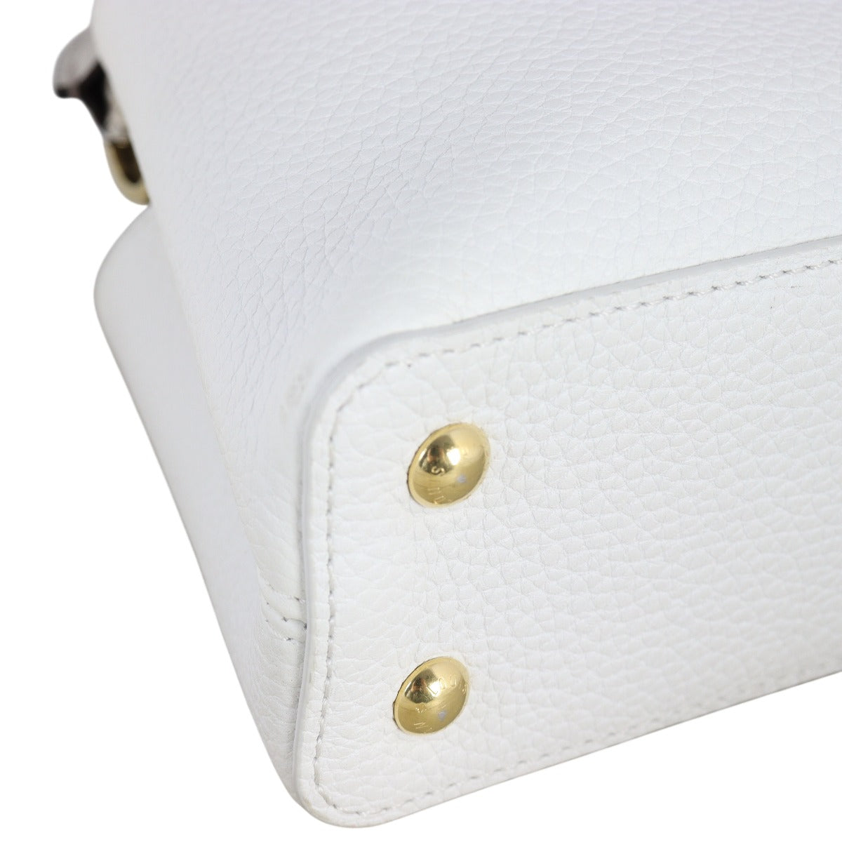 Louis Vuitton Capucines Mini Snake