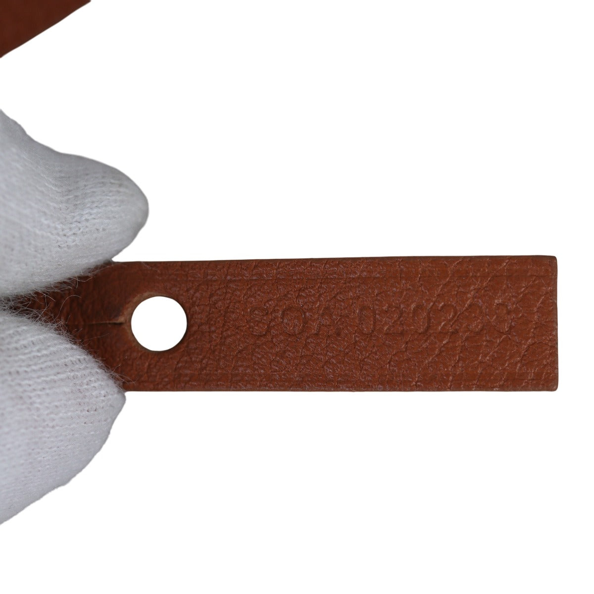 Goyard Anjou Mini Bag