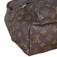 Louis Vuitton Palm Springs Backpack MM Monogram