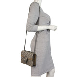 Gucci Dionysus GG Supreme Mini Bag