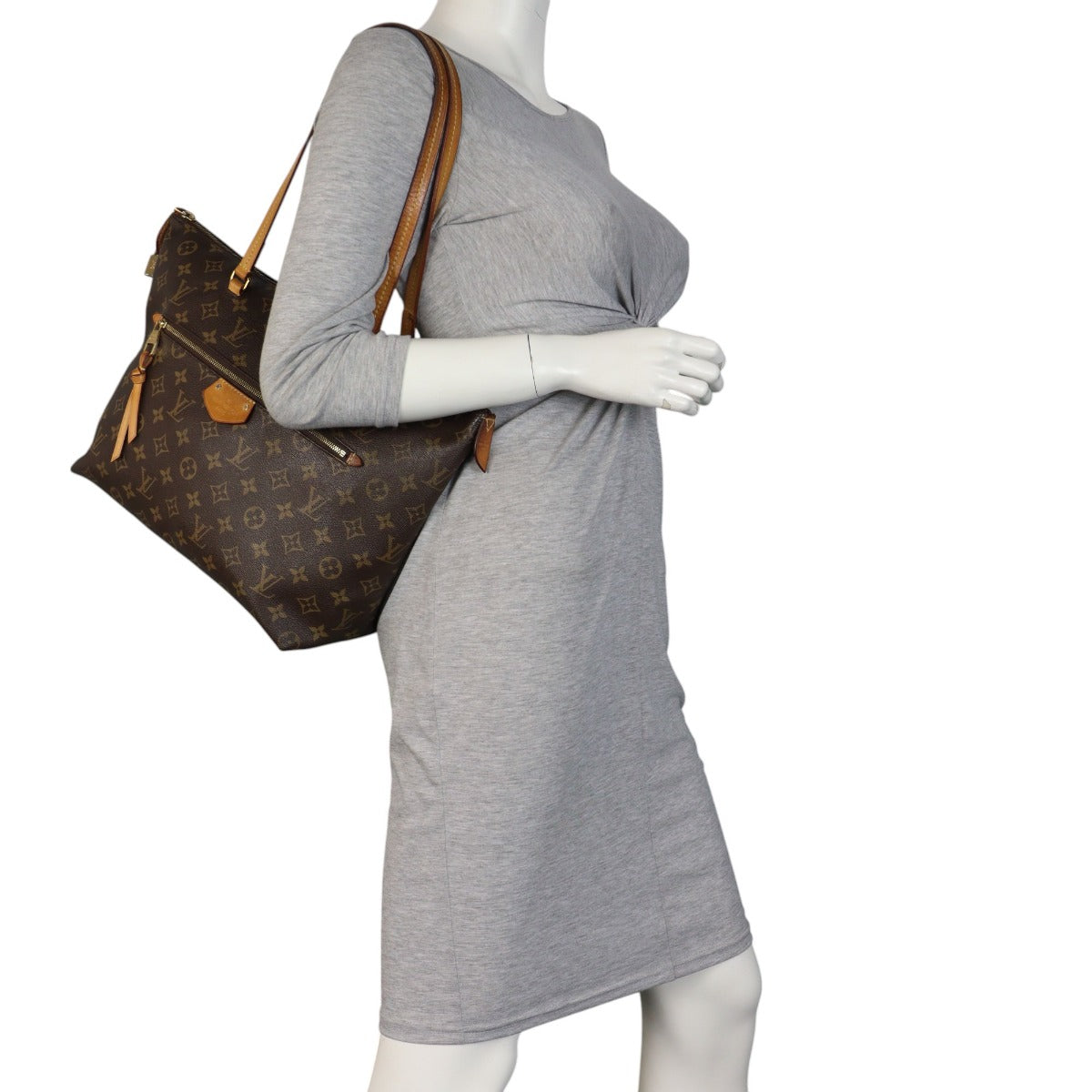 Louis Vuitton Iena MM Monogram