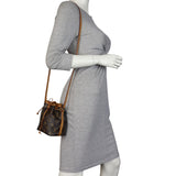 Louis Vuitton Nano Noe Monogram