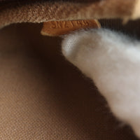 Louis Vuitton Eva Pochette Monogram