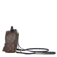 Louis Vuitton Palm Springs Mini Backpack Monogram
