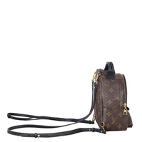 Louis Vuitton Palm Springs Mini Backpack Monogram