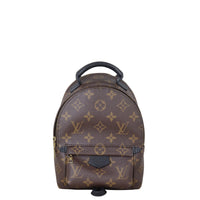 Louis Vuitton Palm Springs Mini Backpack Monogram
