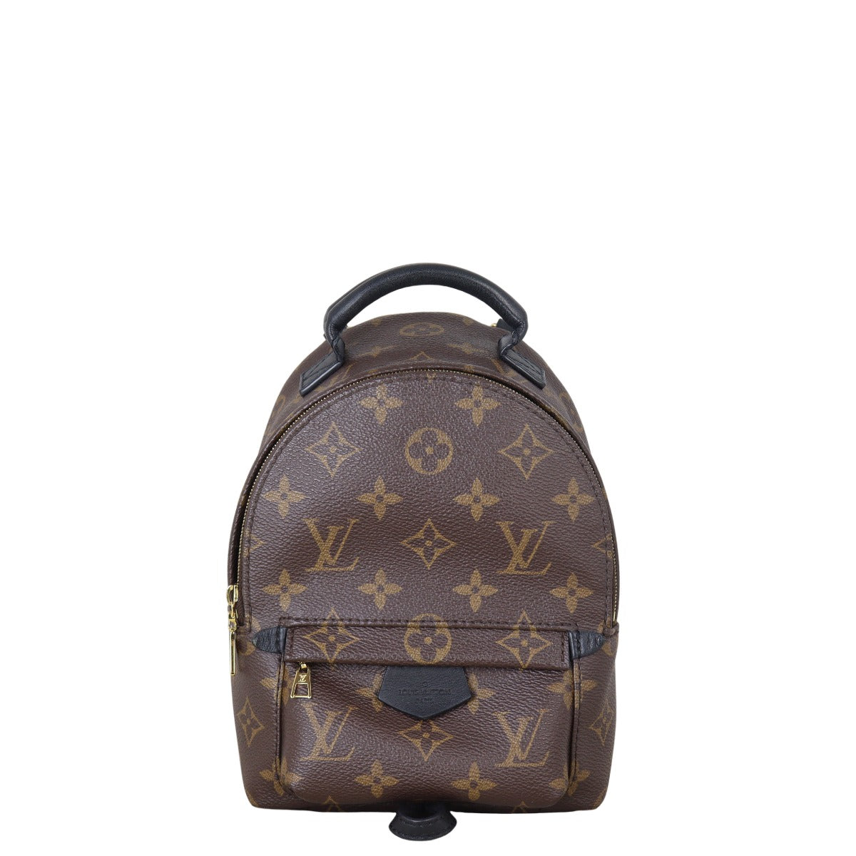 Louis Vuitton Palm Springs Mini Backpack Monogram