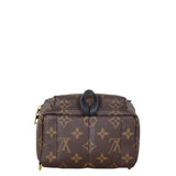 Louis Vuitton Palm Springs Mini Backpack Monogram