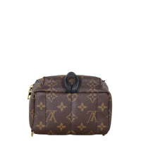 Louis Vuitton Palm Springs Mini Backpack Monogram