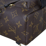 Louis Vuitton Palm Springs Mini Backpack Monogram