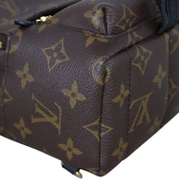 Louis Vuitton Palm Springs Mini Backpack Monogram