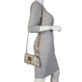 Louis Vuitton Eva Pochette Damier Azur