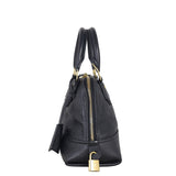 Louis Vuitton Neo Alma BB Monogram Empreinte