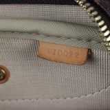 Louis Vuitton Evasion Monogram