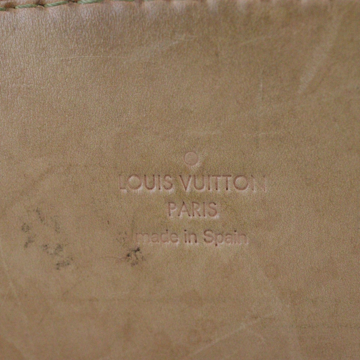 Louis Vuitton Phenix MM Monogram