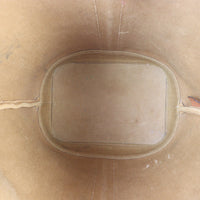 Celine Triomphe Bucket Bag Small