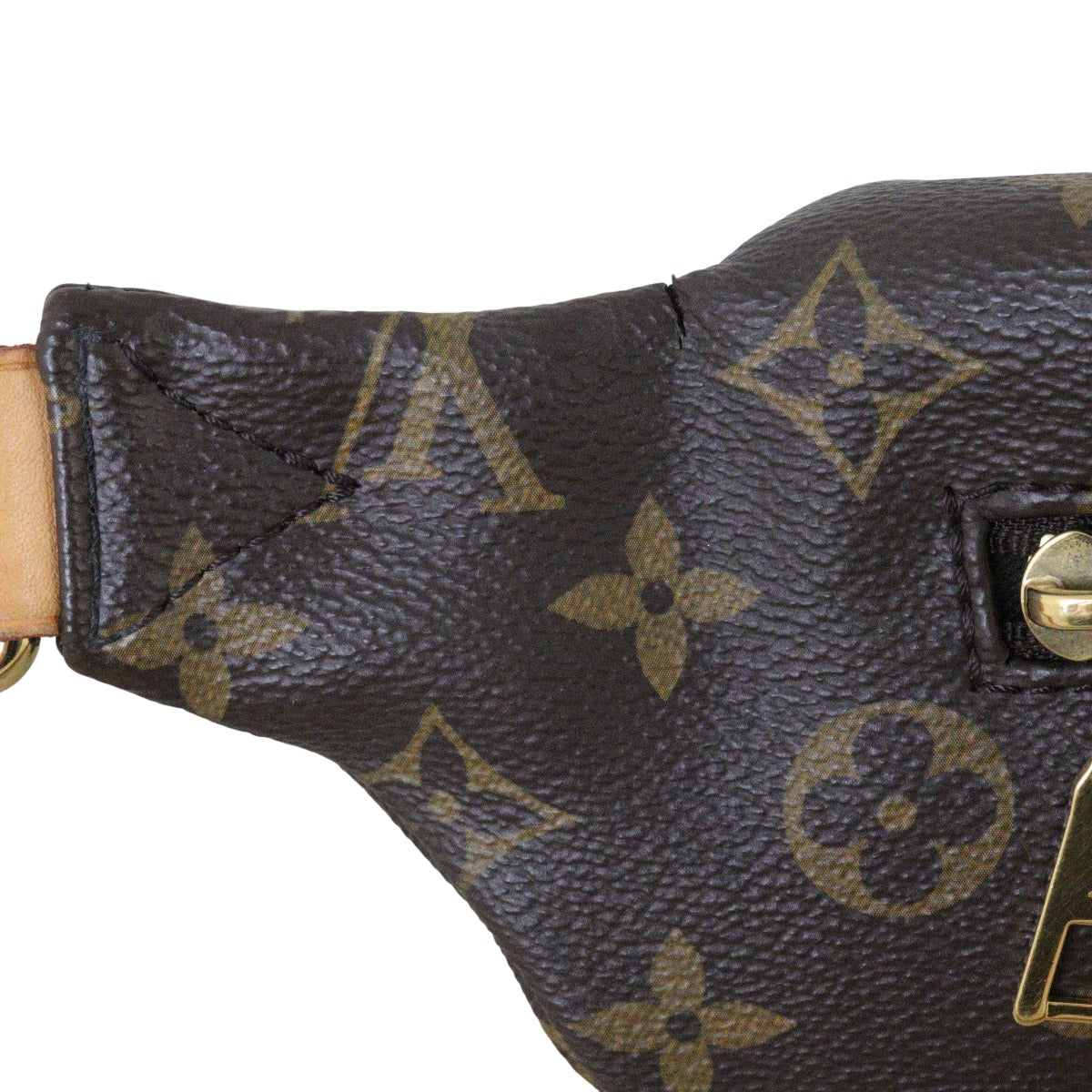 Louis Vuitton Bum Bag Monogram