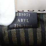 Fendi Mini Sunshine Shopper