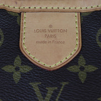 Louis Vuitton Delightful PM Monogram