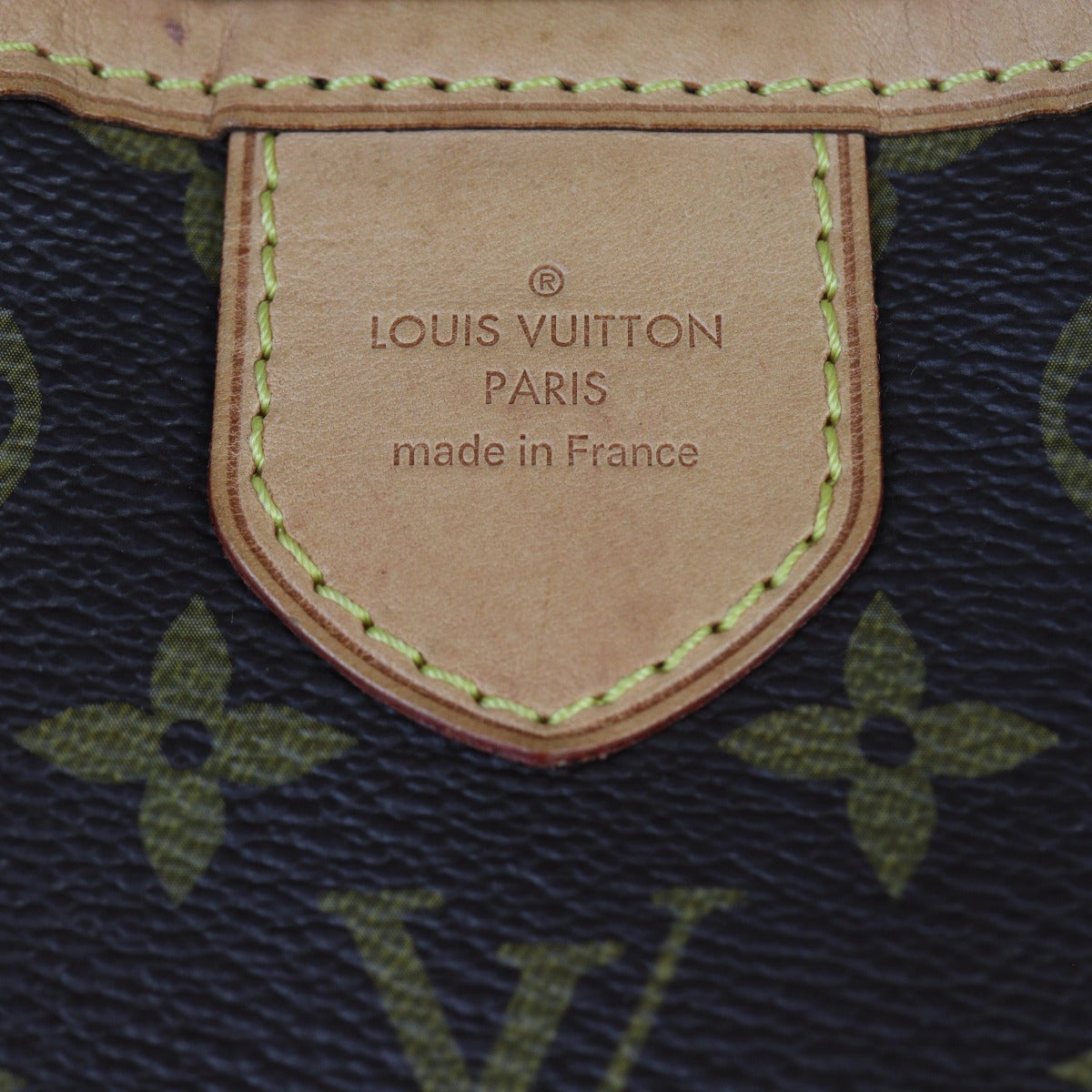 Louis Vuitton Delightful PM Monogram