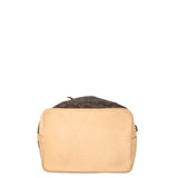 Louis Vuitton Noe Monogram